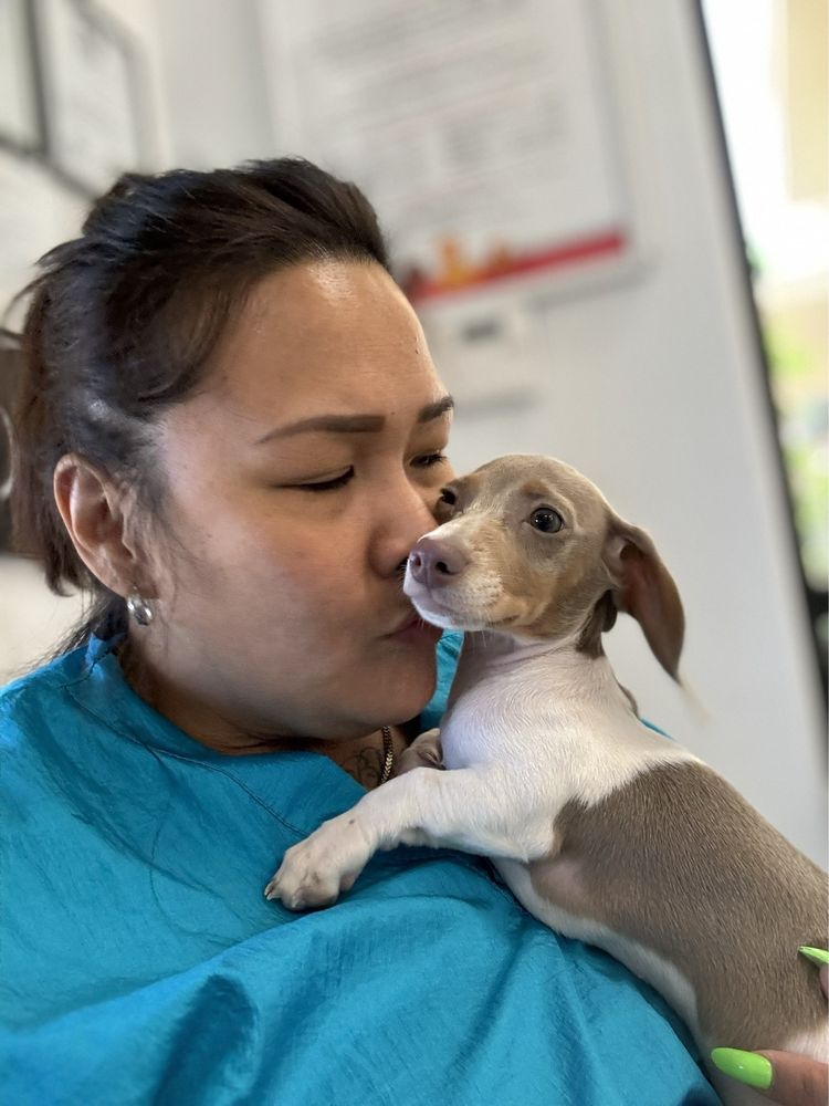 Caring groomer cuddling happy dog at Henderson grooming salon